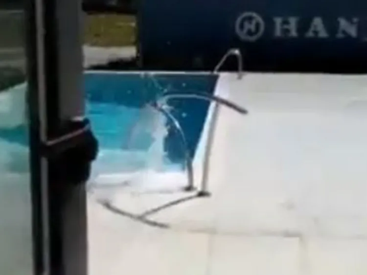 Fotos y videos del terremoto de 7.7 que sacudió Jamaica y Cuba