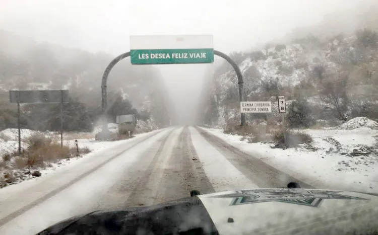 Coordinación Estatal de Protección Civil