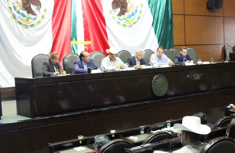 Requiere campo más apoyo