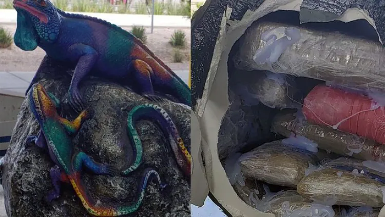 Incautan drogas por medio millón de dólares