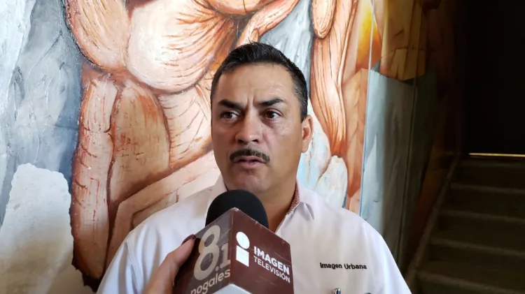 Reactivarán la reforestación