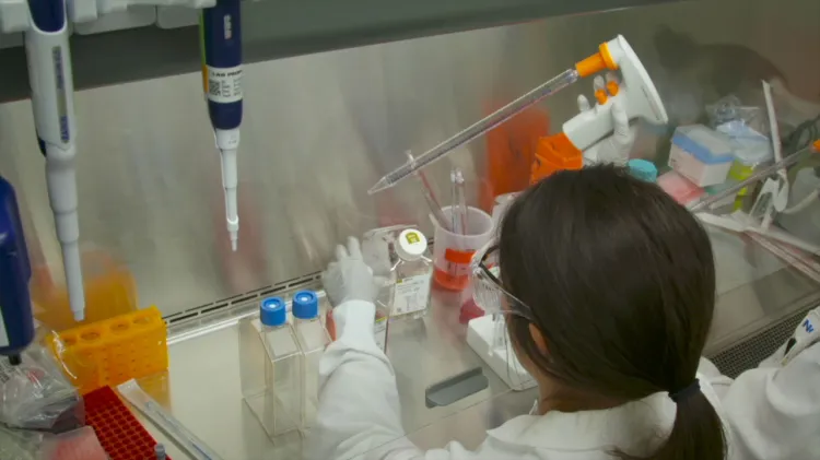 Monitorea Arizona Coronavirus