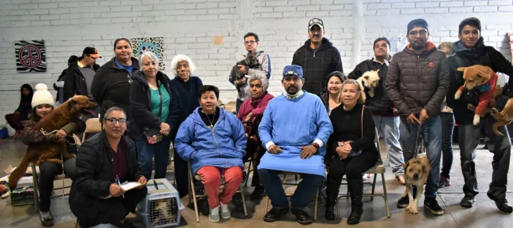 Intensifican campaña de esterilización de mascotas