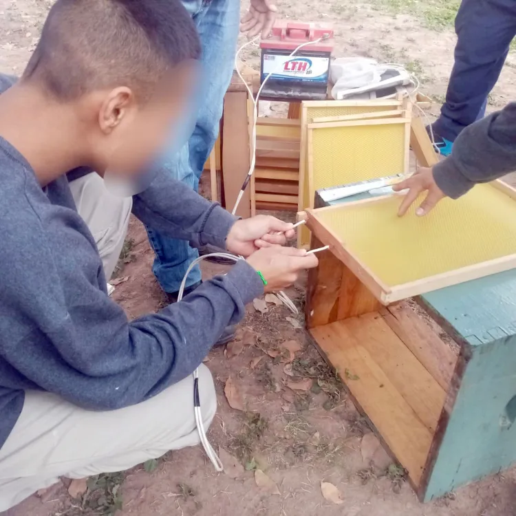 Continúan actividades ocupacionales