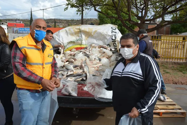 Entregan dos toneladas de pescado por Covid-19