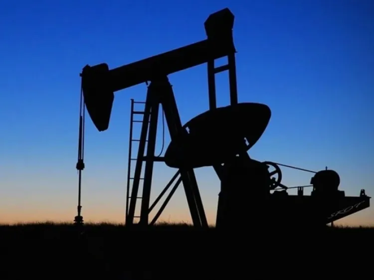 Nos fue ‘requetebién’ en OPEP: López Obrador