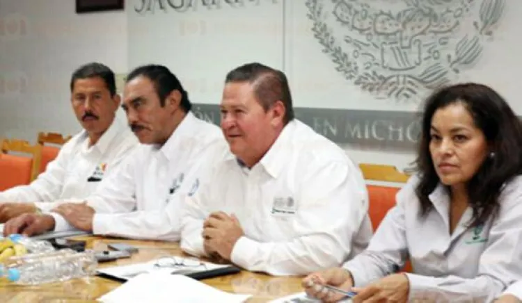 Participarán en reactivación económica