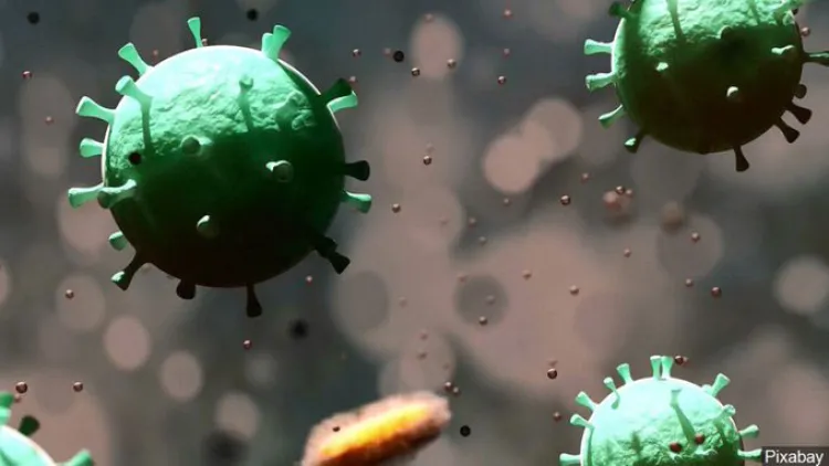 Suman 187 fallecimientos en Arizona