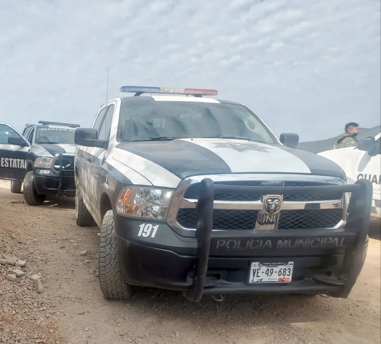 Roban paneles solares