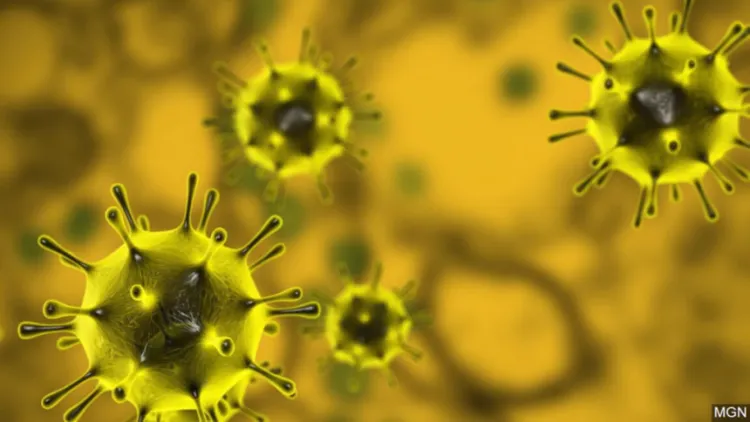 Supera Arizona las 540 muertes