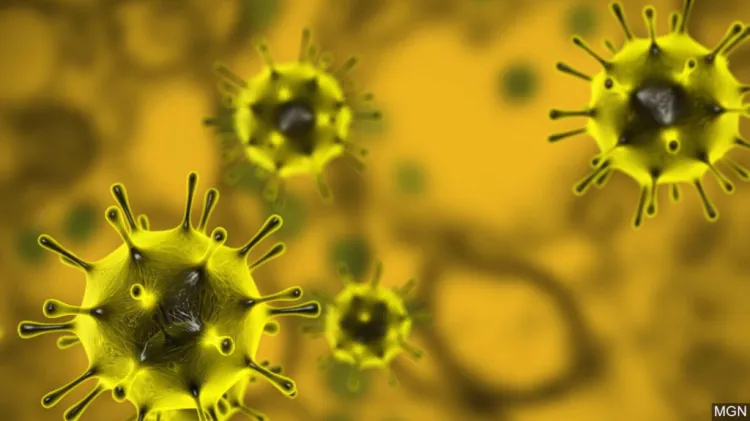 Suma Arizona 747 víctimas