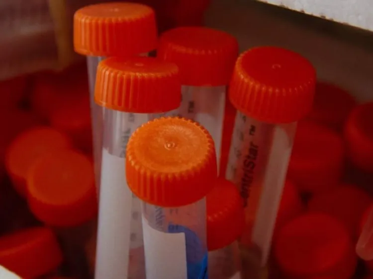 Aseguran cerca de mil pruebas falsas de Covid-19