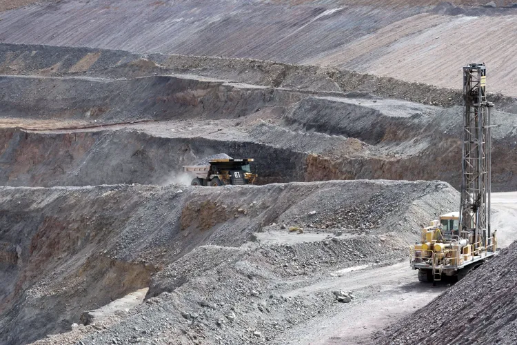 Participan en foro virtual