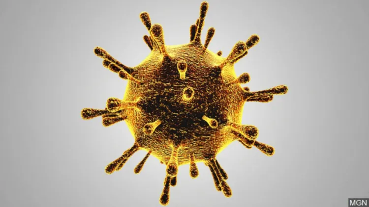 Amenaza Covid-19 con hacer más daño