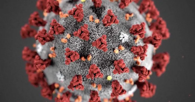 Incontenible Covid-19 en la frontera