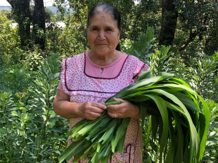 Doña Ángela, la cocinera humilde que rompe fronteras