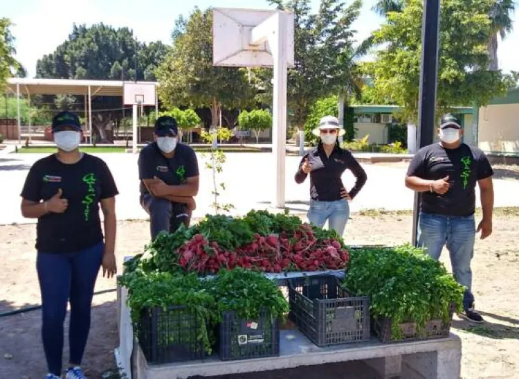 Donan estudiantes hortalizas