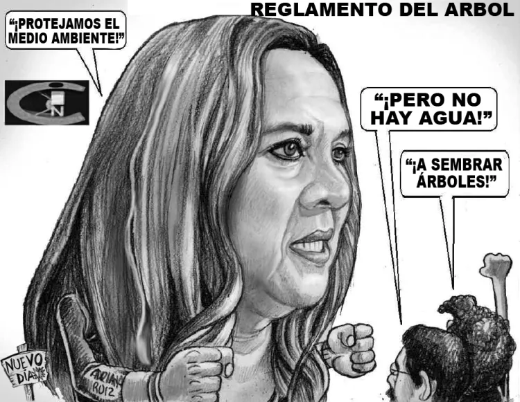 Cartón