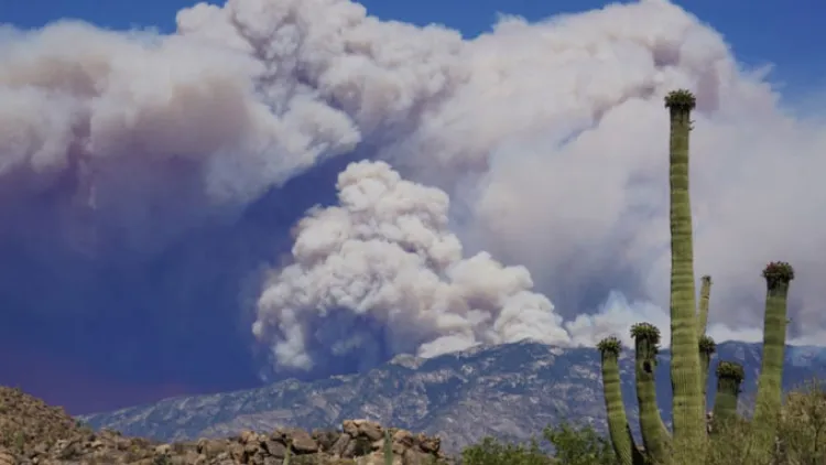 Incontenible incendio al Norte de Tucson