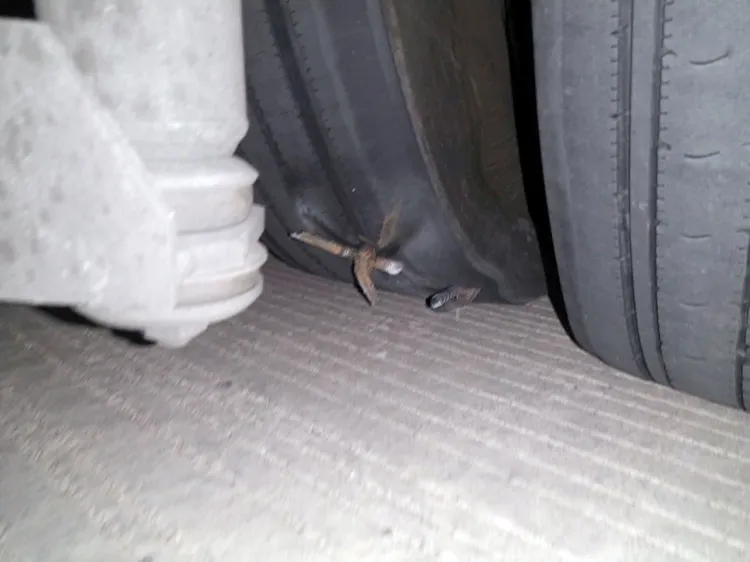 Denuncian despojos en carretera a Altar
