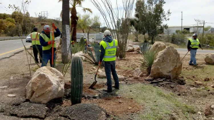 Buscan proteger el medio ambiente