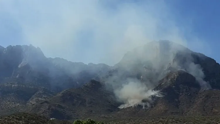 Controlan incendio forestal