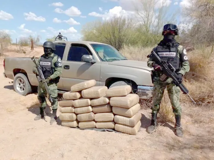 Aseguran cien kilos de marihuana en Pitiquito