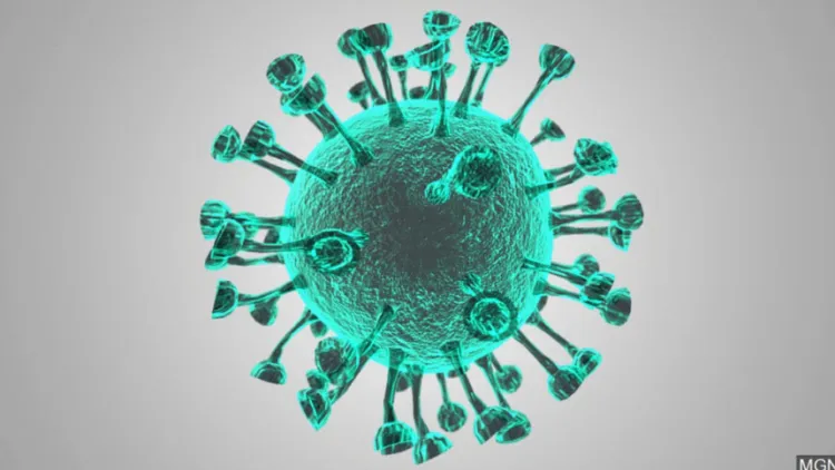 Avanza Coronavirus en Nogales