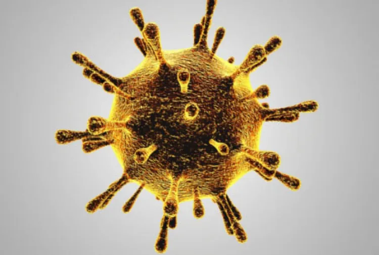 Suma Arizona dos mil 337 fallecimientos