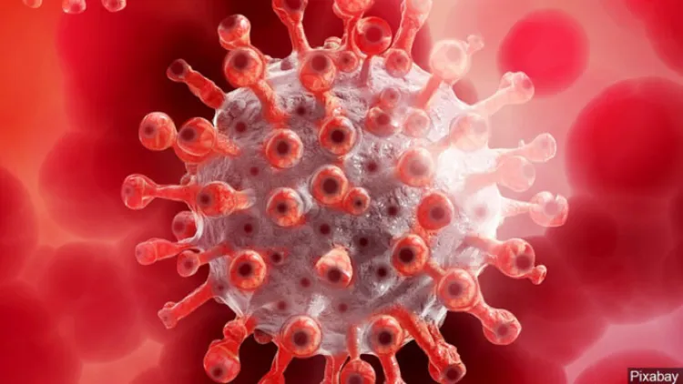 Fallece una maestra contagiada con Covid-19