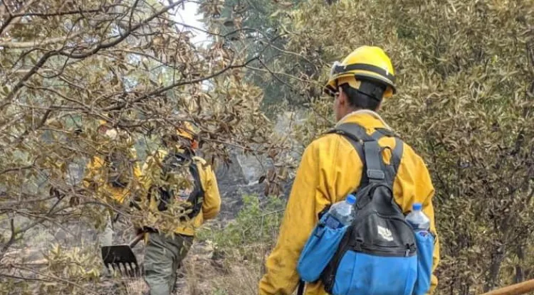 Apoyan bomberos en incendio de Imuris