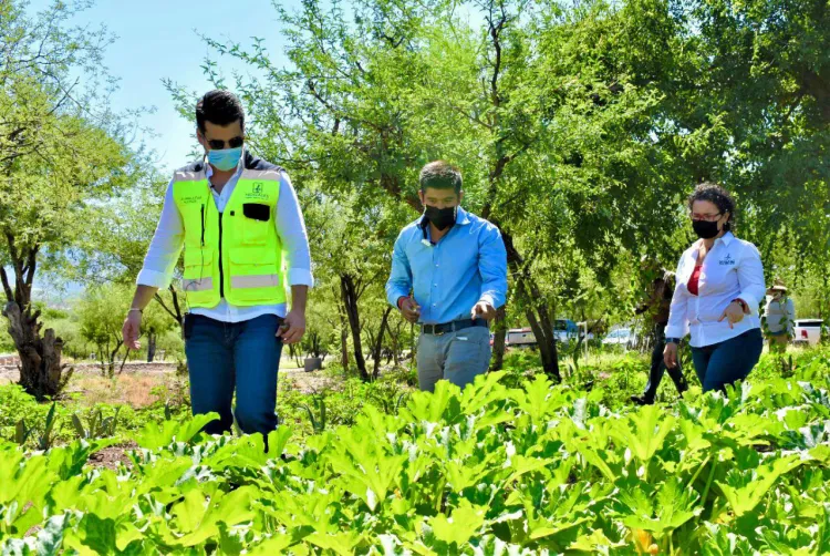 Buscan beneficiar a siete mil familias