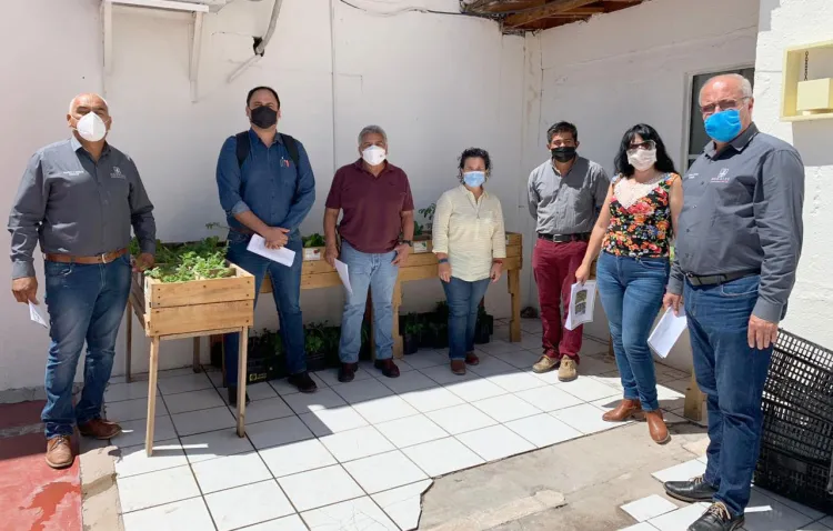 Participa Comisión en Sembrando Vida