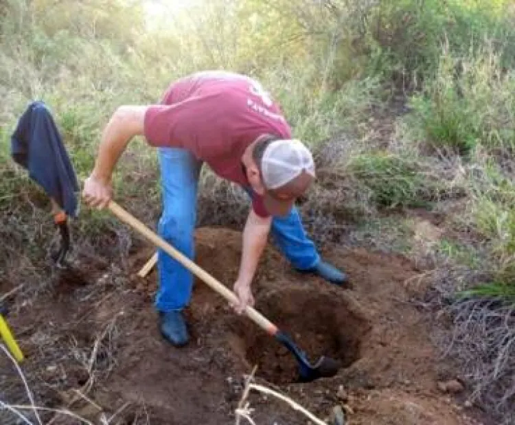 Se cumplen metas de conservación ambiental