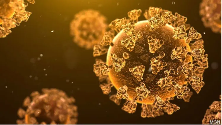 Mueren 104 en un día en Arizona