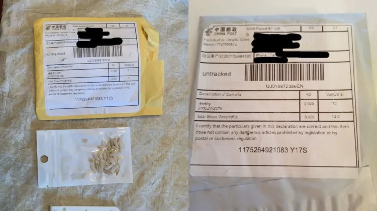 Identifican semillas enviadas de China