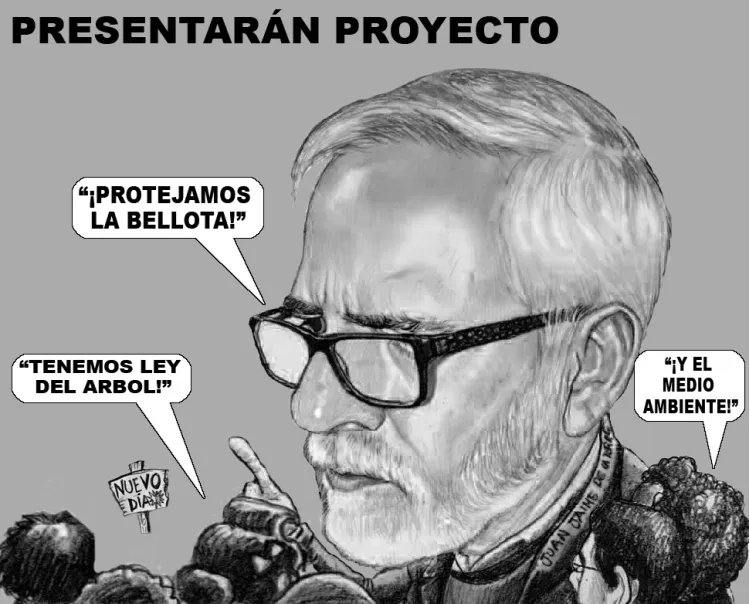 Cartón