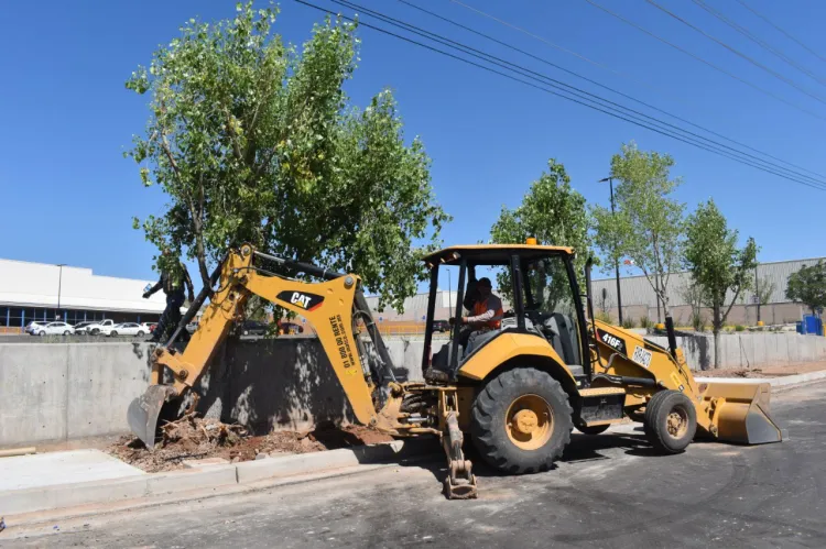 Mantienen reforestación citadina