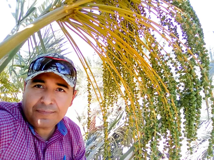 Es UES líder nacional en investigación