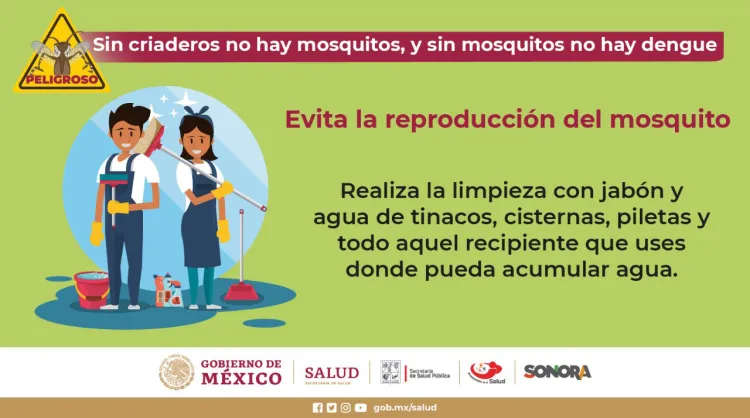 Llaman a eliminar criaderos de moscos