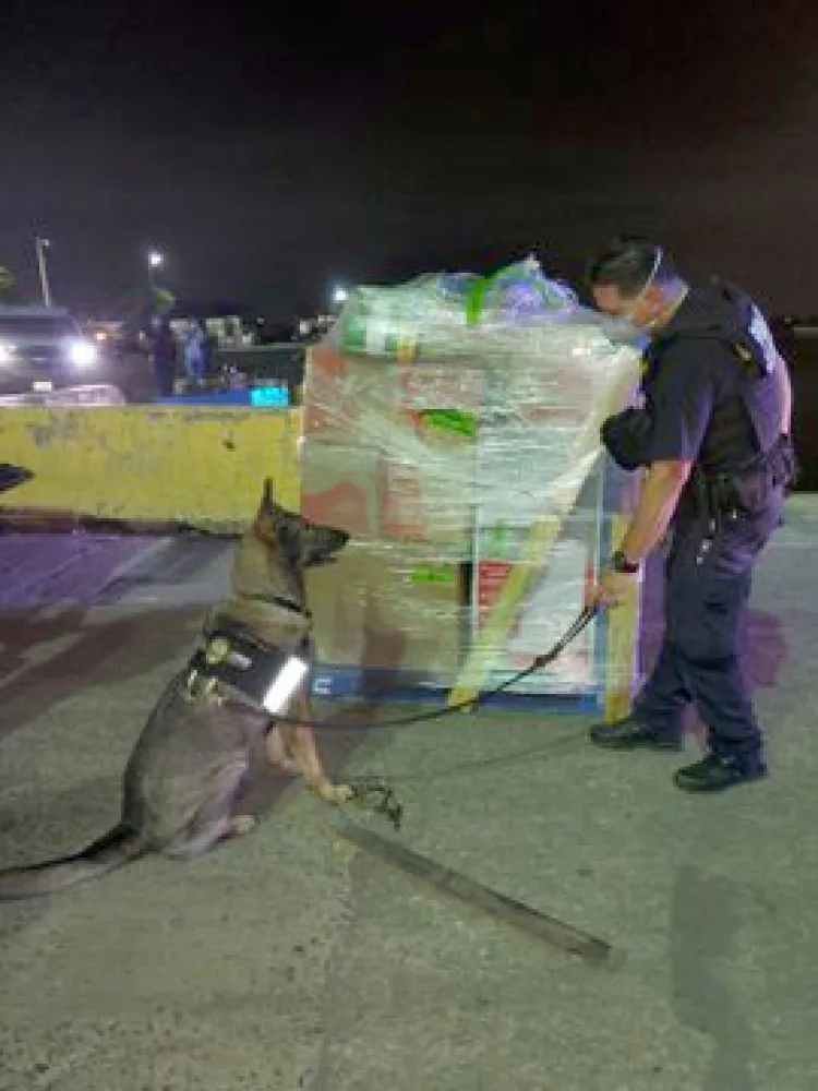 Decomisan 27 millones de dólares