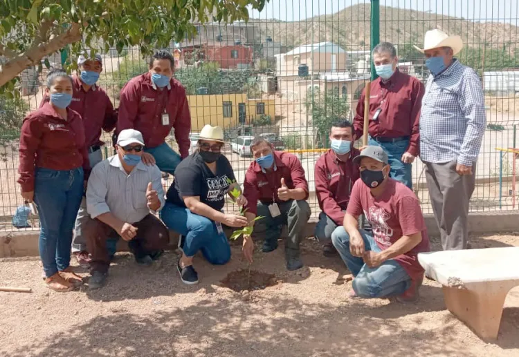 Reforestan parque en la Flores Magón