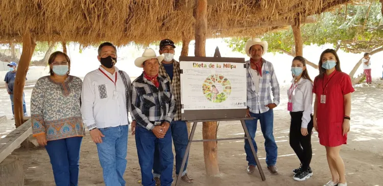 Ofrecen atención médica a ejidos