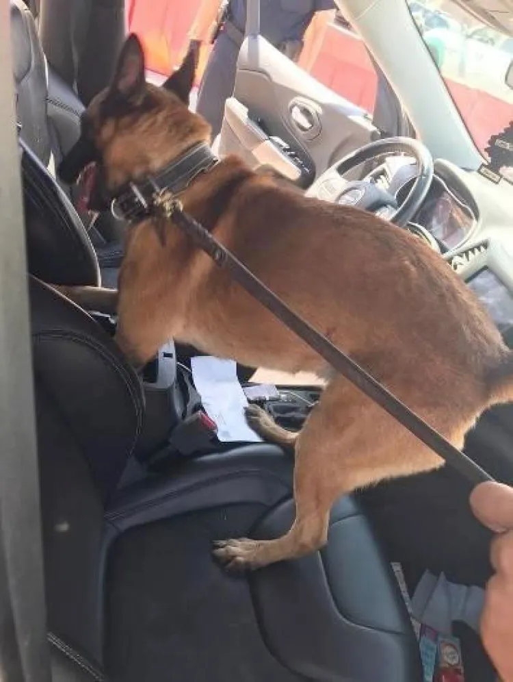 Decomisan más de mil cartuchos útiles