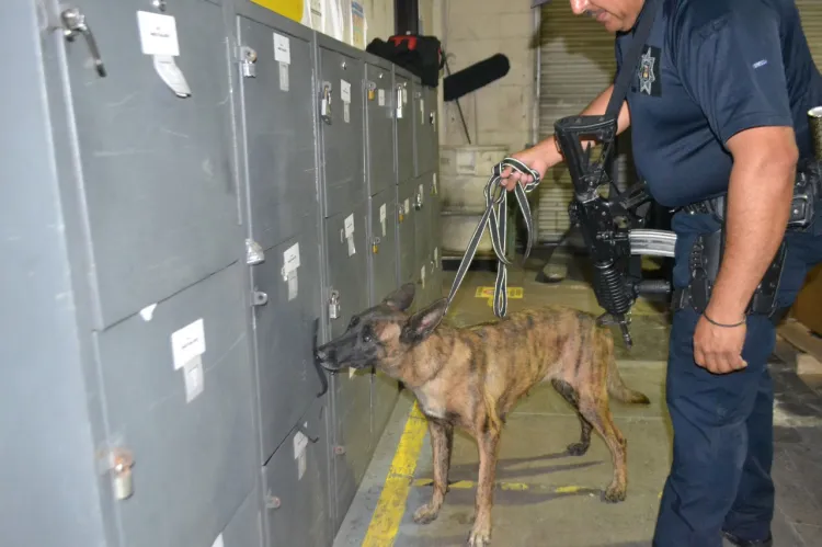 Apoyan a sector industrial en Nogales