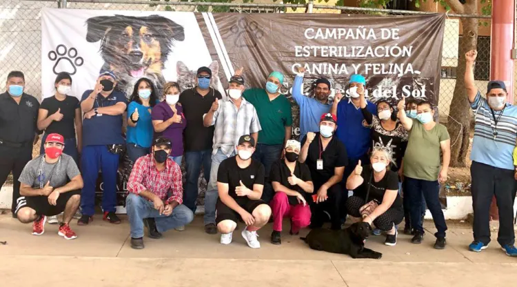 Continúan campañas de esterilización