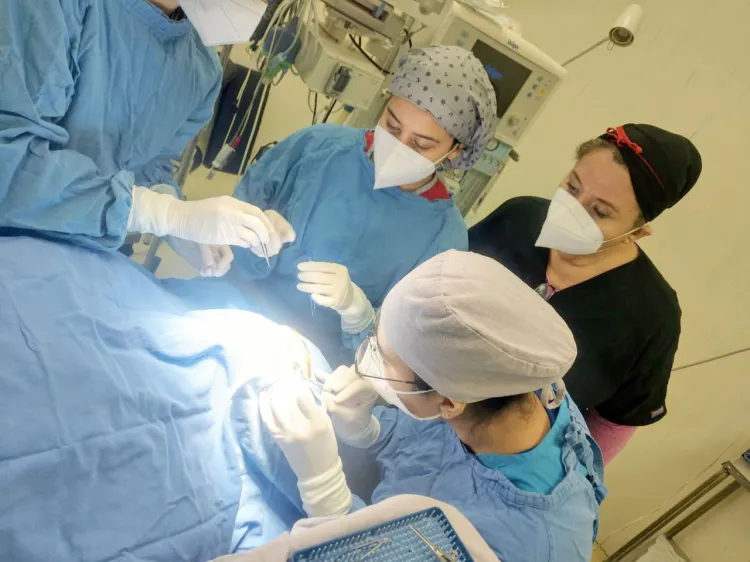 Realizan sexta donación multiorgánica en Sonora