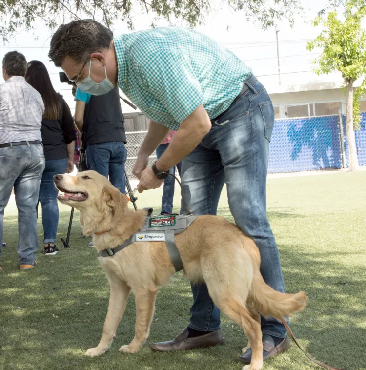 Detectan agentes caninos Covid-19