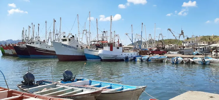Sólido sector agroalimentario