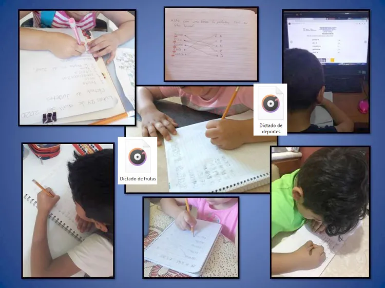 Elaboran proyecto para combatir analfabetismo